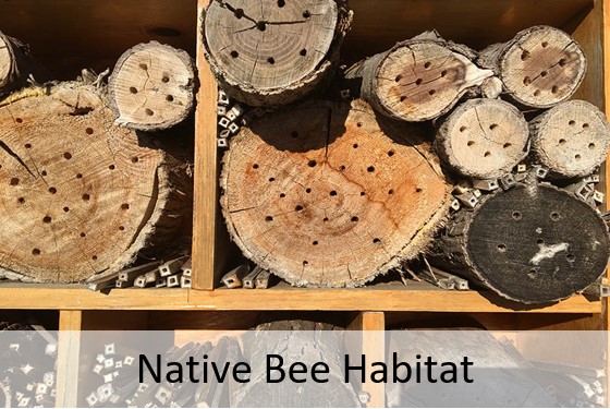 Native Bee Habitat